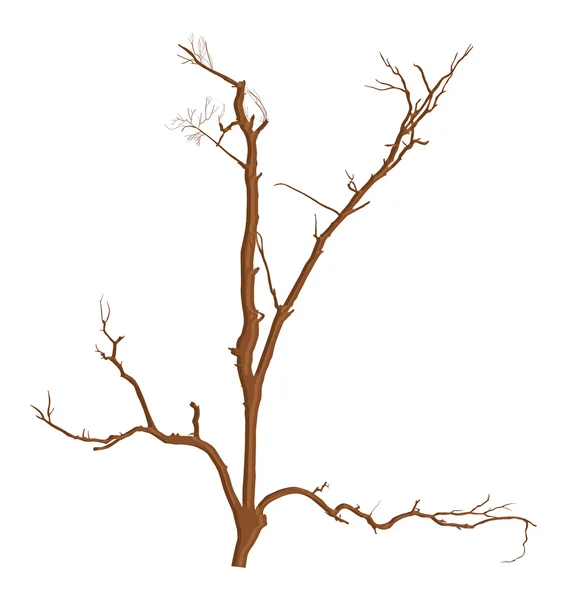 Resumen Seco Árbol Muerto Ramas Diseños — Vector de stock