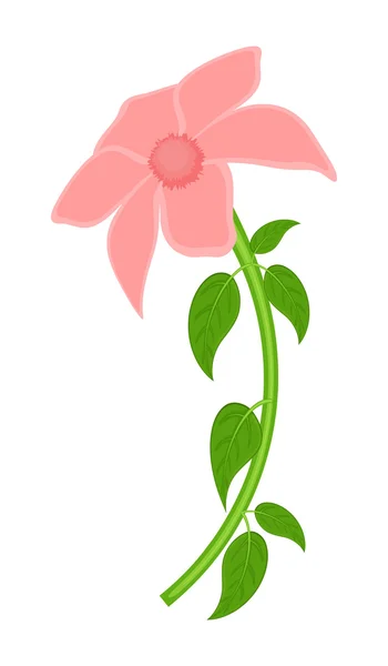 Pink Daisy Illustration — Stock Vector