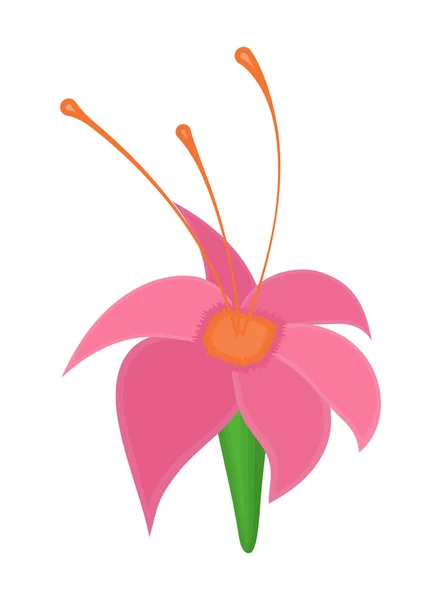 Dibujo de flor silvestre rosa — Archivo Imágenes Vectoriales