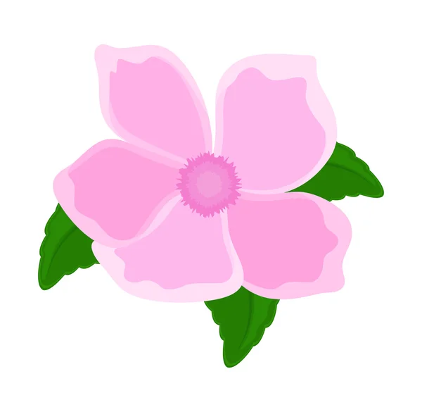 핑크 꽃 꽃잎 디자인 — 스톡 벡터