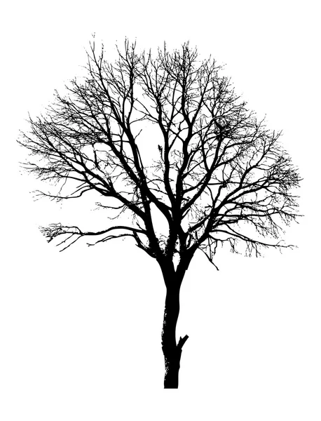 Forma de árbol muerto — Archivo Imágenes Vectoriales