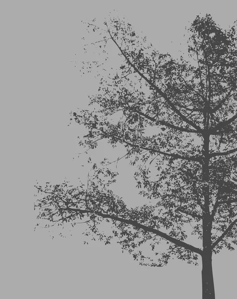 Gruselige einsame Baumsilhouette — Stockvektor