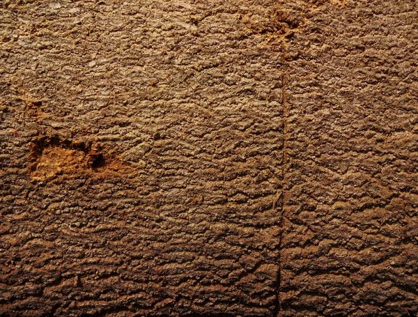 Grunge brun trädet Bark textur — Stockfoto