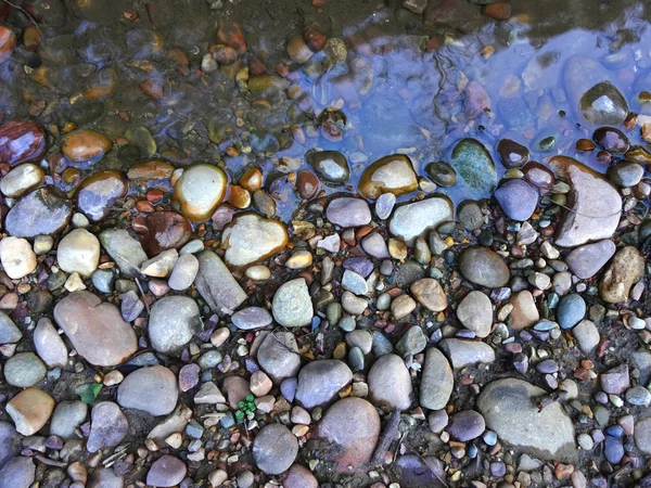 Stones in Water — Stock Photo, Image