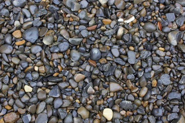 Wet Pebble Stones Texture — Stock Photo, Image