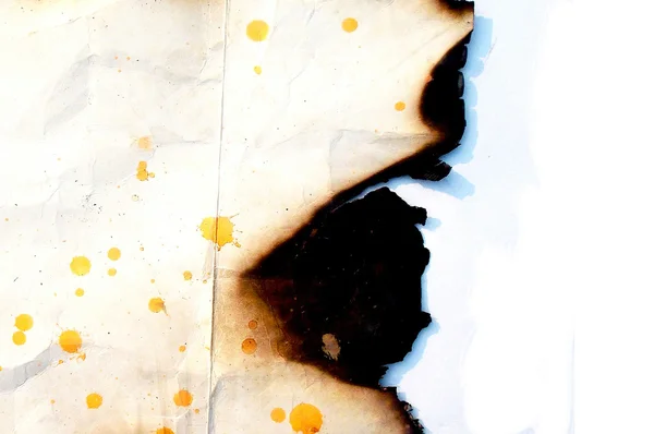 Yanmış kağıt kenar doku — Stok fotoğraf