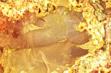 Grunge Mermer doku arka plan