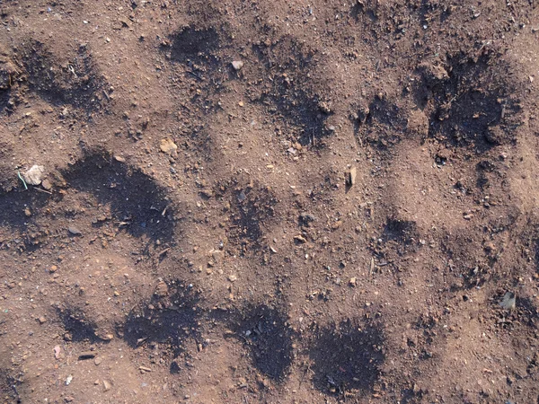 Gleby streszczenie tekstura — Zdjęcie stockowe