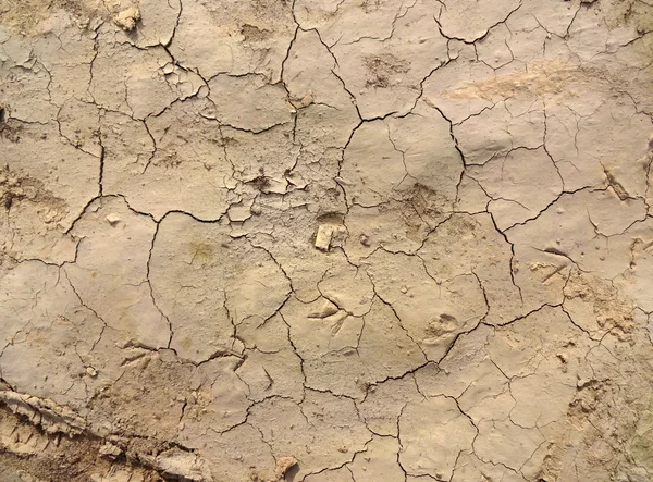 Cracked Soil Land Texture — Stock Photo, Image