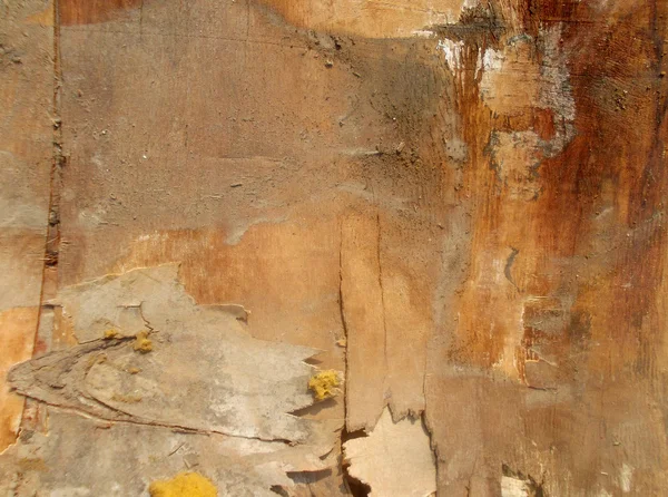 Old Grunge Wood — Stock Photo, Image