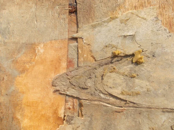 Eski kirli ahşap dokusu — Stok fotoğraf