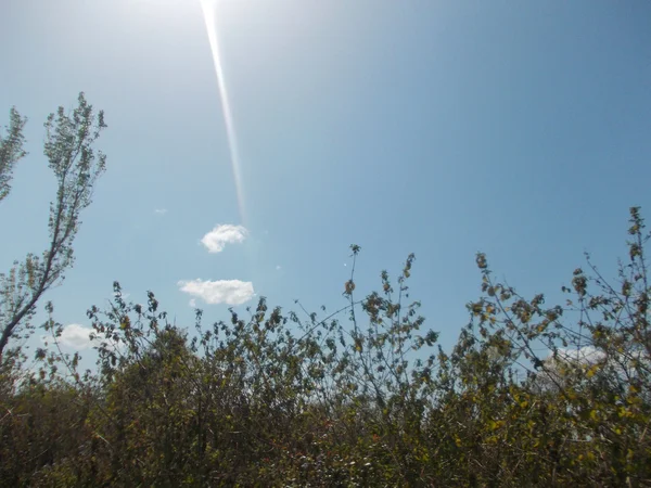 ワイルド フィールド上空の背景 — ストック写真