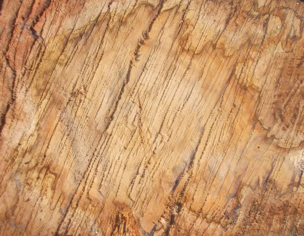 Scruffy Grunge Wood Texture — Stock Photo, Image