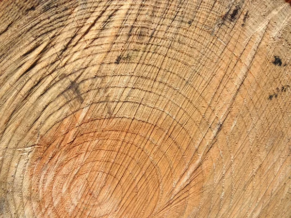 邋遢的木材纹理 — 图库照片
