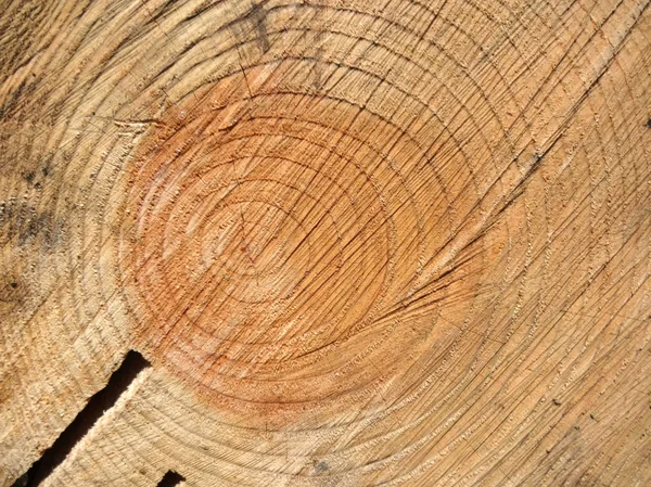 Streszczenie tekstura drewniane — Zdjęcie stockowe