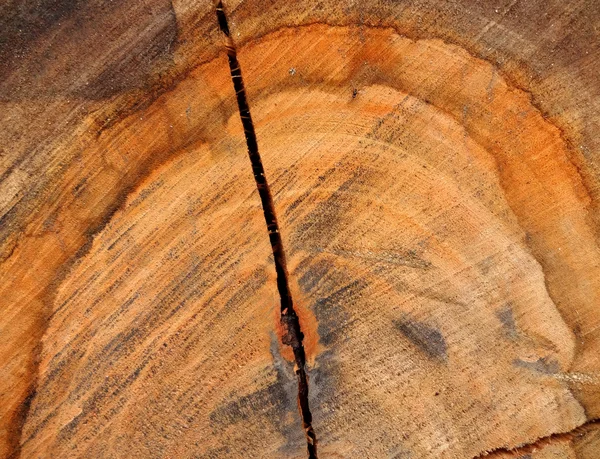 Textura de madeira rachada da prancha — Fotografia de Stock