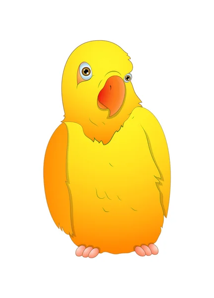 Aranyos rajzfilm madár vektor illusztráció — Stock Vector