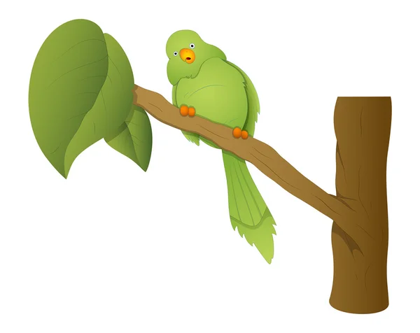 Green Parrot Sitting on Tree Branch — Stock Vector