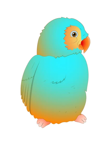 Sevimli papağan vektör — Stok Vektör