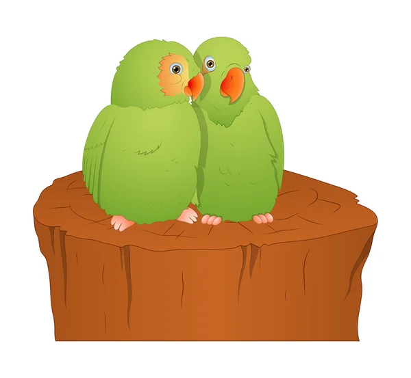 Pájaros loro de dibujos animados — Vector de stock