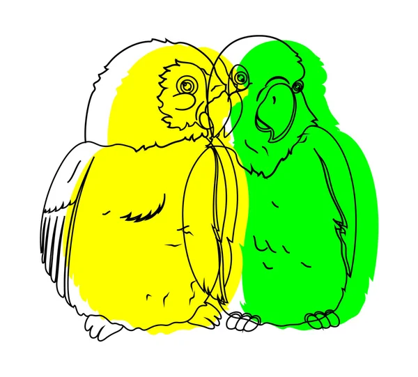 Perroquet Oiseaux dessin vecteur — Image vectorielle