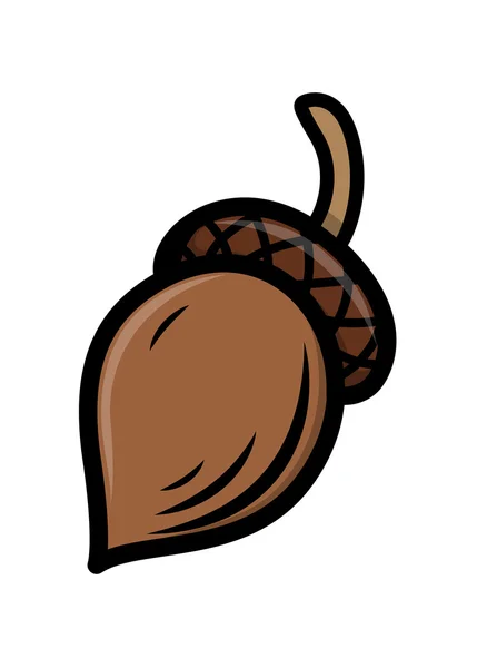 Acorn Nut Vector — Stockvector