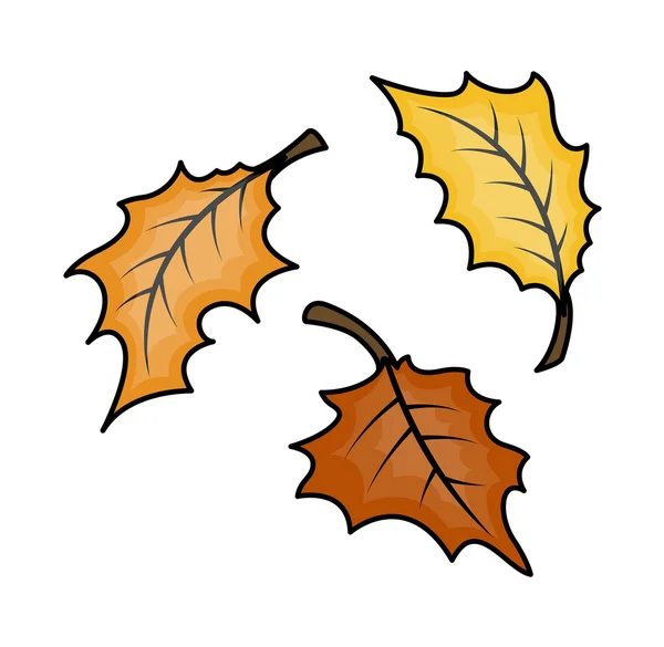 Autumn Leaves Vector — Stock Vector