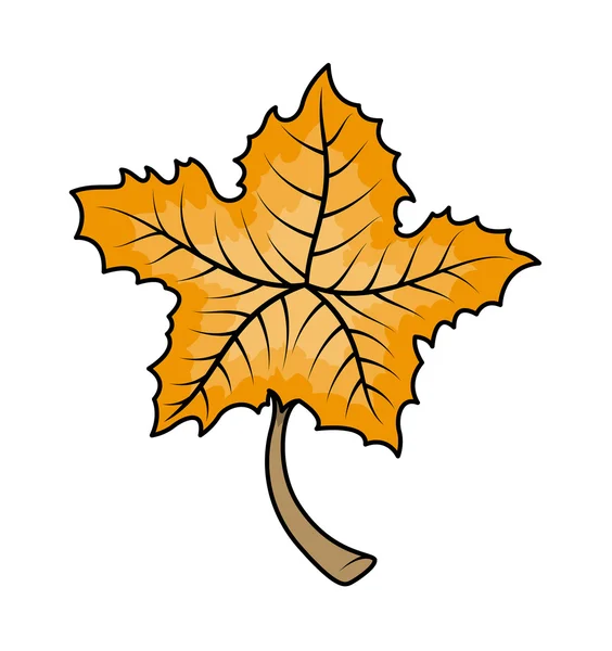 Autumn Leaf Vector — Stock Vector