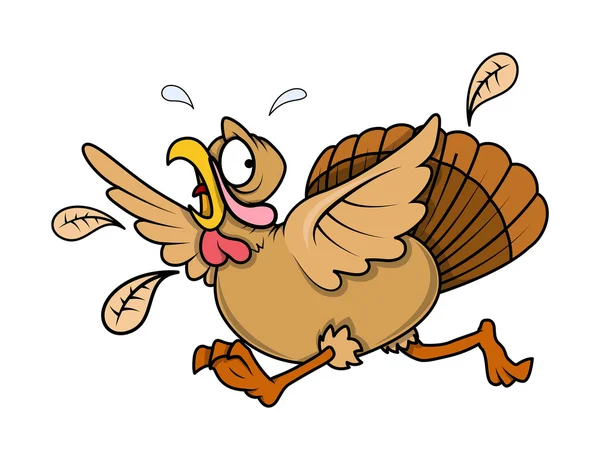 Scared Turkey Bird Running — Stock Vector