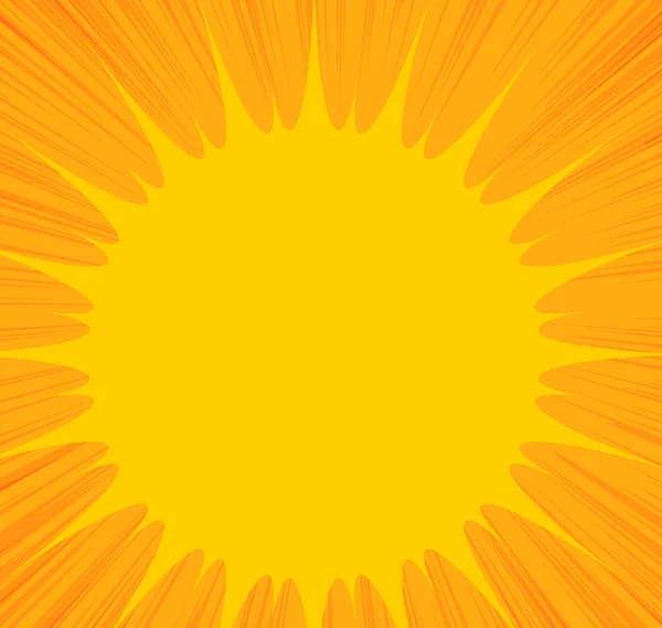 Sunburst Banner — Stock Vector