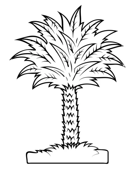 Dibujo vectorial de palmera — Archivo Imágenes Vectoriales