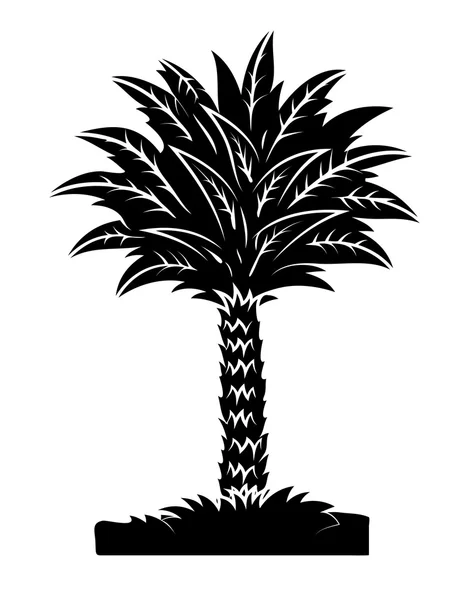 Palm Tree Black Shape — Stock Vector