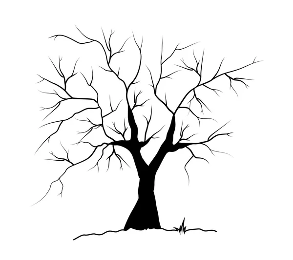 Мертве дерево силует — стоковий вектор