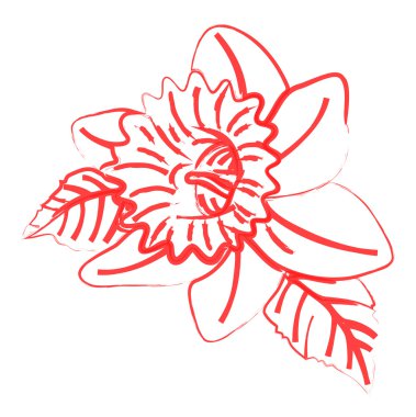 Retro Wild Flower Vector Drawing