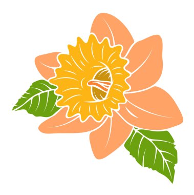 Beyaz izole kır çiçeği vektör