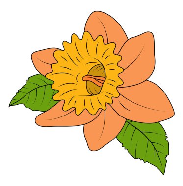 Makro kır çiçekleri