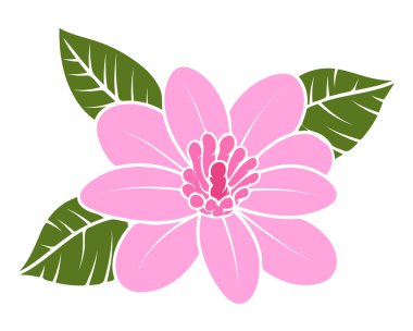 Vintage pembe çiçeği vektör çizim