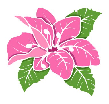 Pembe çiçek vektör illüstrasyonu