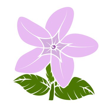 Vintage kır çiçeği vektör