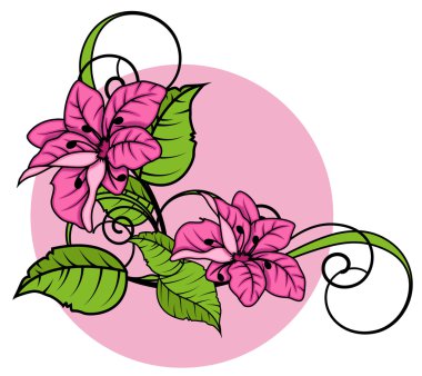 Pembe papatyalar güzelleşmek köşe