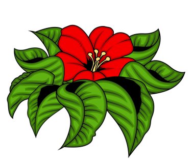 Kırmızı çiçek yaprakları vektör çizim ile