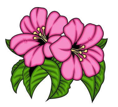 Pembe çiçekler çifti
