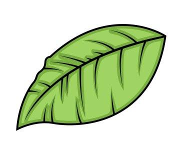 Yeşil vektör yaprak