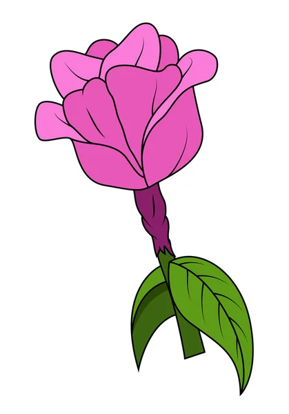 Růžová růže vektorové ilustrace — Stockový vektor