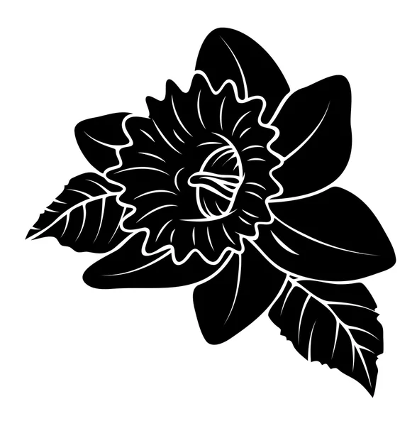 Ontwerp met zwarte vorm wilde bloemen — Stockvector