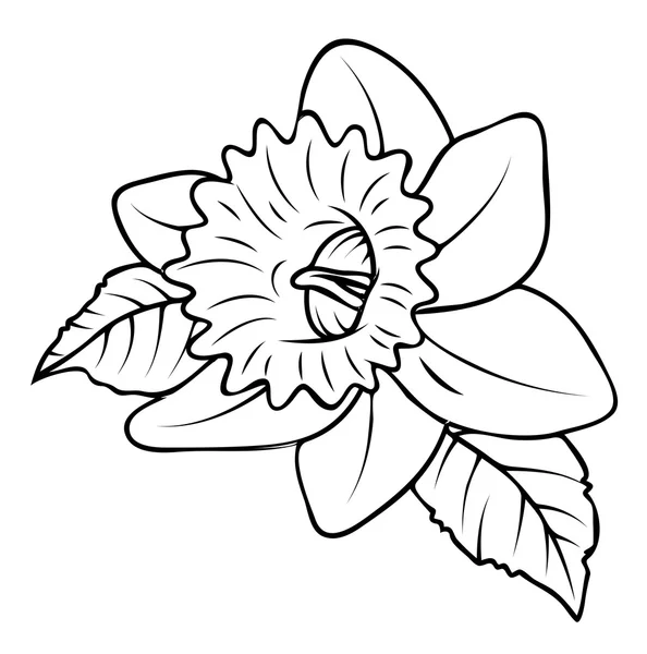 Diseño de forma de flor salvaje — Vector de stock