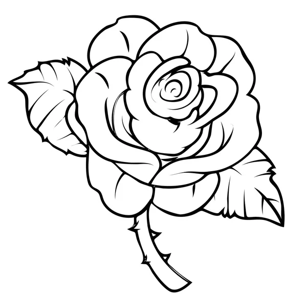Rysunek róża — Wektor stockowy