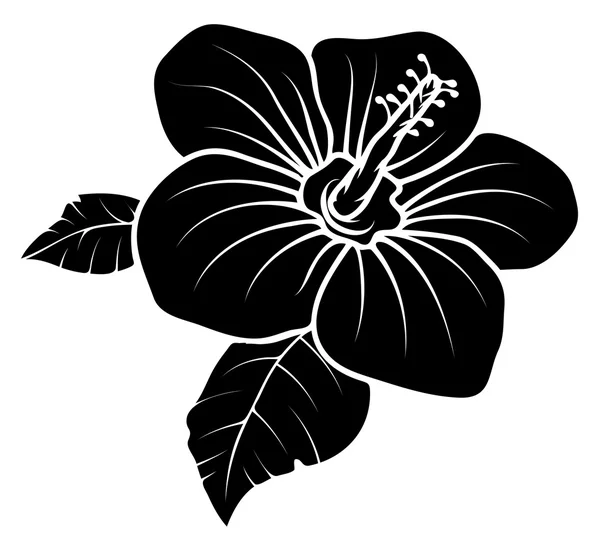 Lily flor vetor silhueta — Vetor de Stock