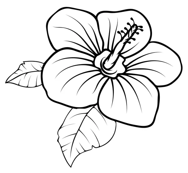 Dibujo de flor retro — Archivo Imágenes Vectoriales