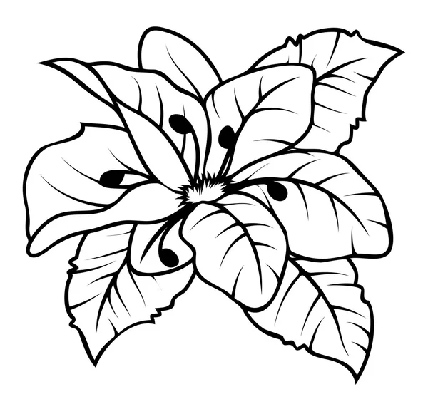 Flor selvagem desenho Vector — Vetor de Stock